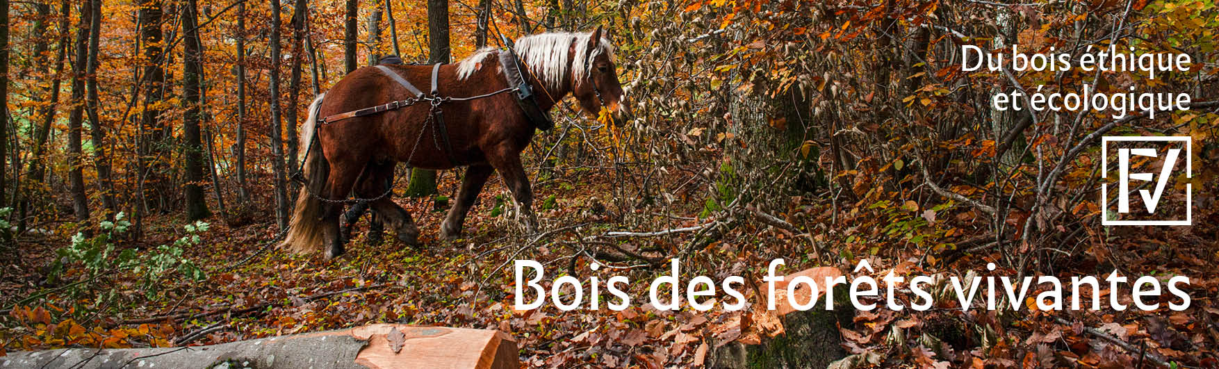 Bois des forêts vivantes